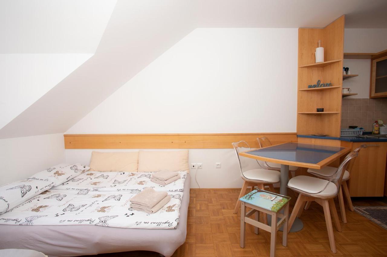 Apartment Tinka 克拉尼斯卡戈拉 外观 照片