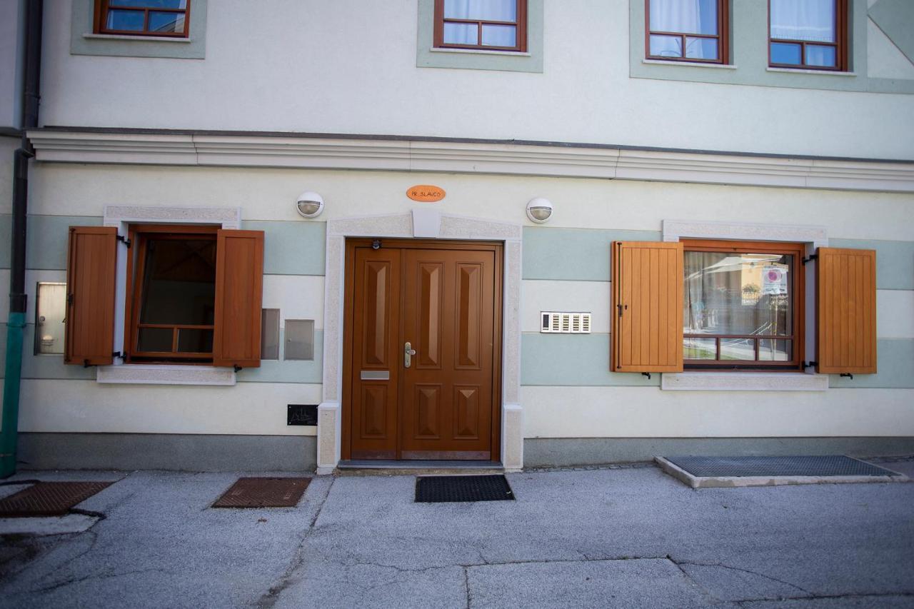 Apartment Tinka 克拉尼斯卡戈拉 外观 照片